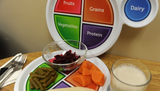 children nutrition plan